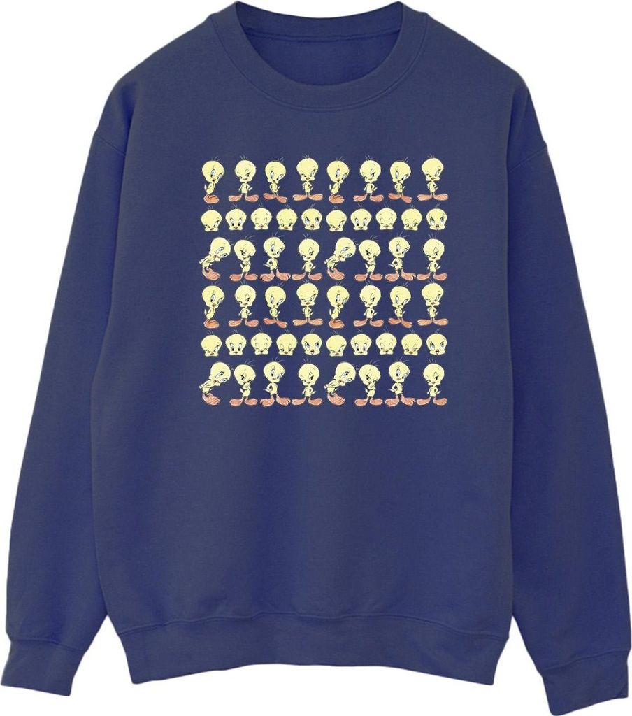 Looney Tunes - Sweatshirt für Herren BI34025 (3XL) (Marineblau)