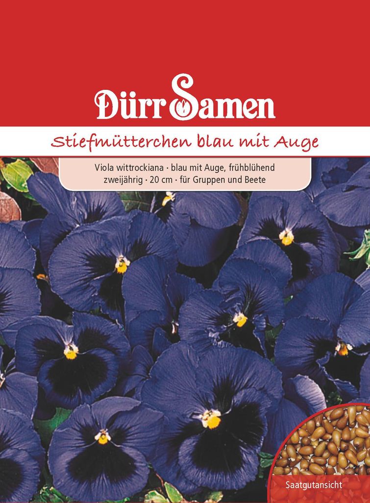 Stiefmütterchen dunkelblau mit Auge | Stiefmütterchensamen Produktbild 