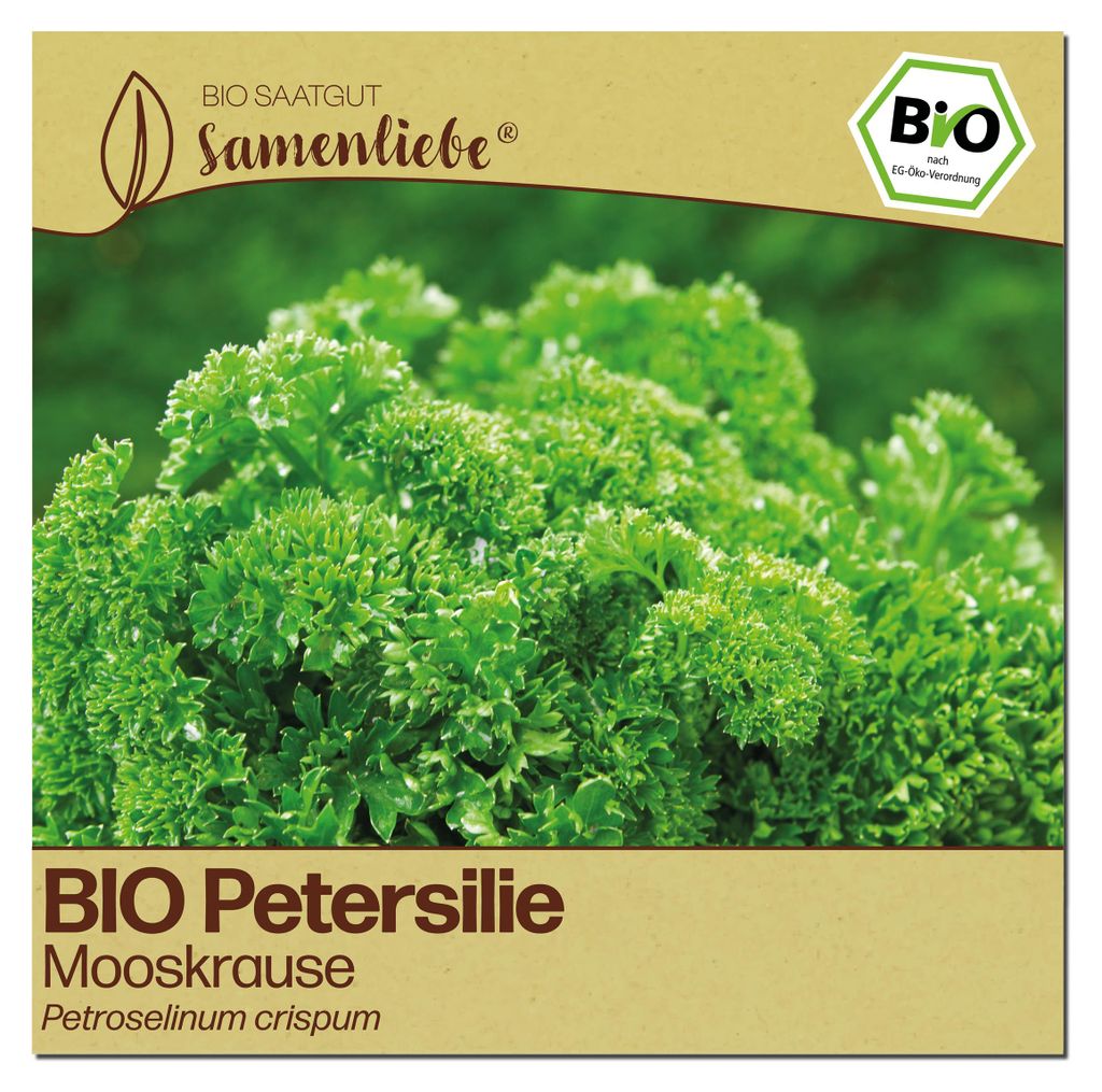 Samenliebe Petersilie Samen | Mooskrause - winterhart & zweijährig & gekraust - samenfestes Saatgut