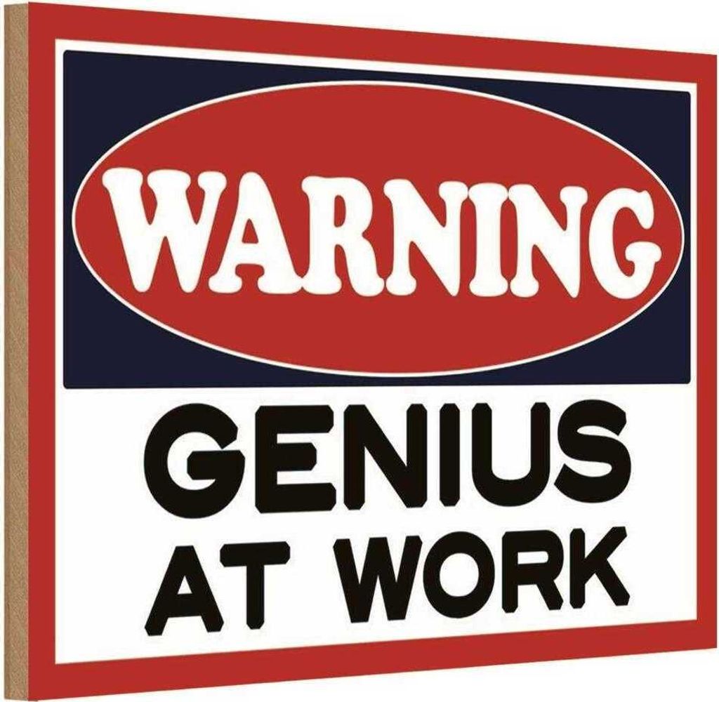 vianmo Holzschild 20x30 cm Warning Genius at work Warnschild Hinweisschild