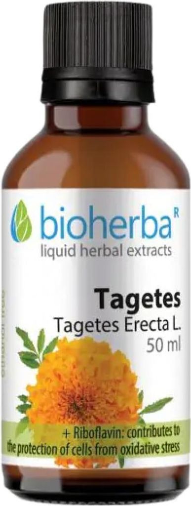 Študentská kvetina agetes Erecta L. Kvapky tinktúry 50 ml Obrázok produktu 