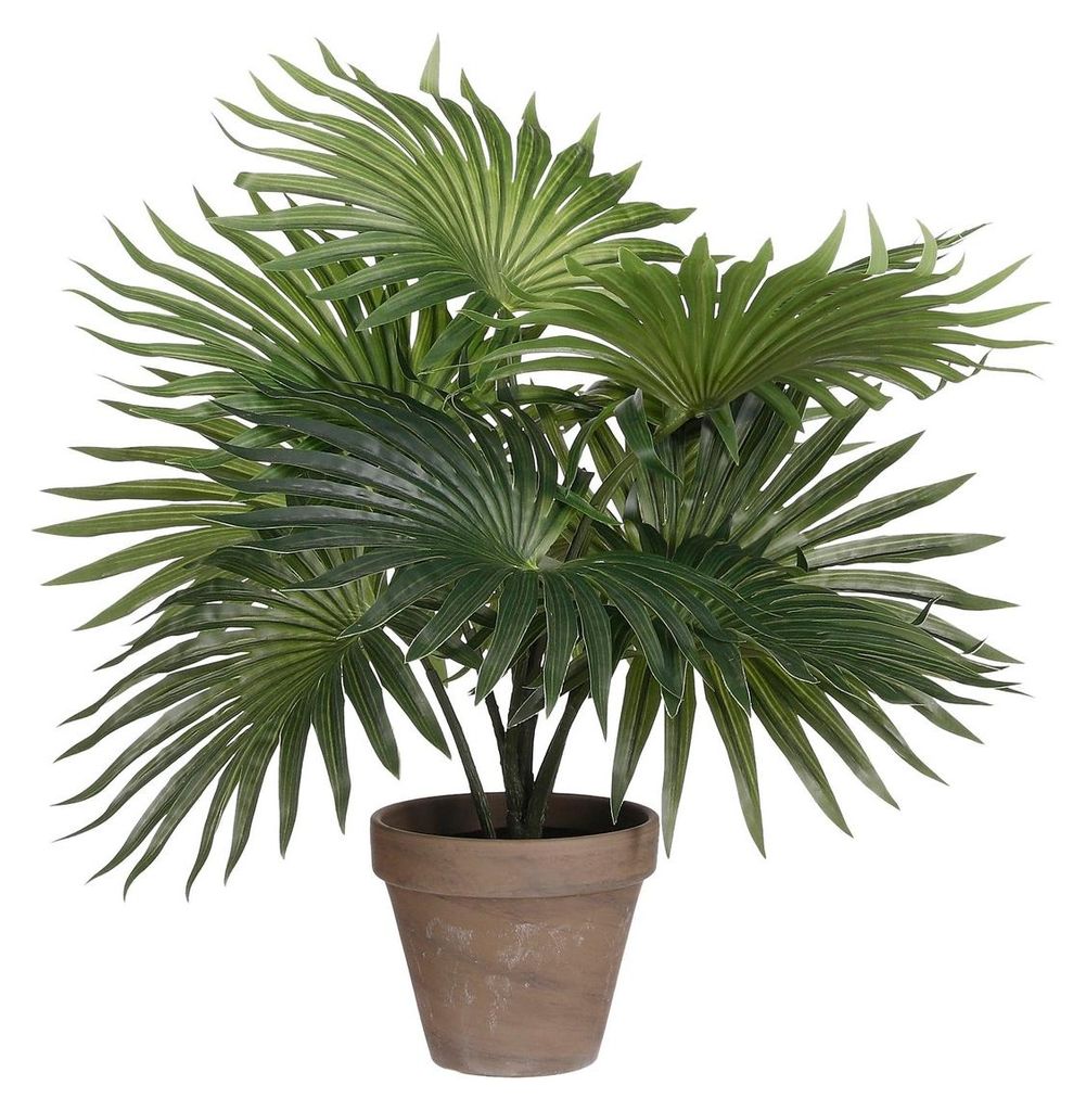 Kunstpflanze Mica Palm im Topf Ø 35 cm H 40 cm Produktbild 