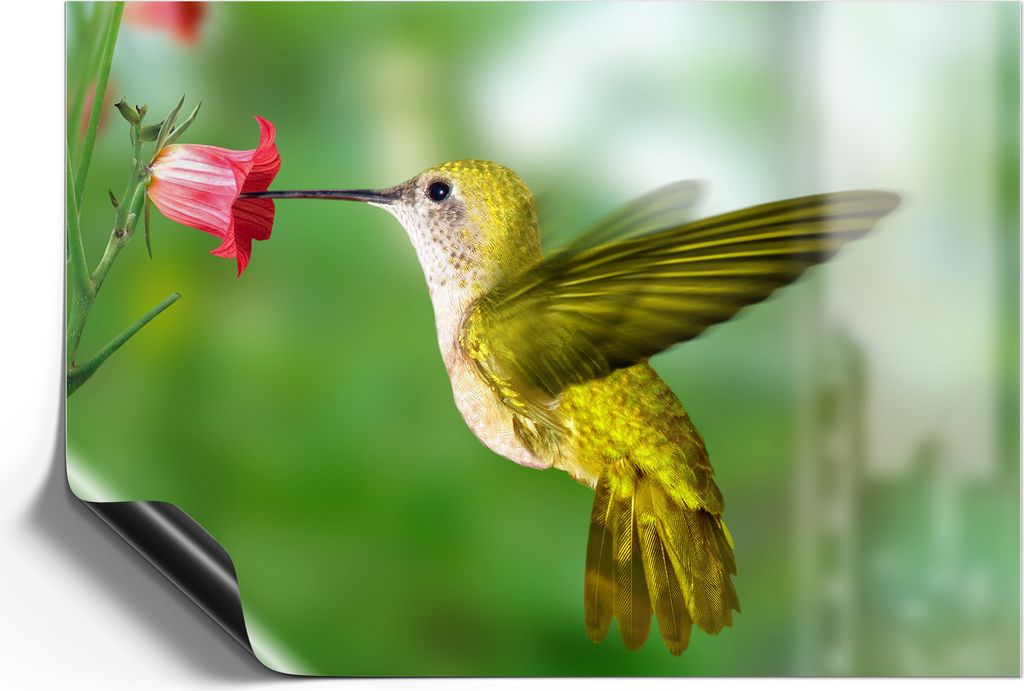 DEQORI Magnetmatte Universal 42x30 cm (A3) 'Flügelschlag des Kolibris' Magnetfolie Kalender Planer