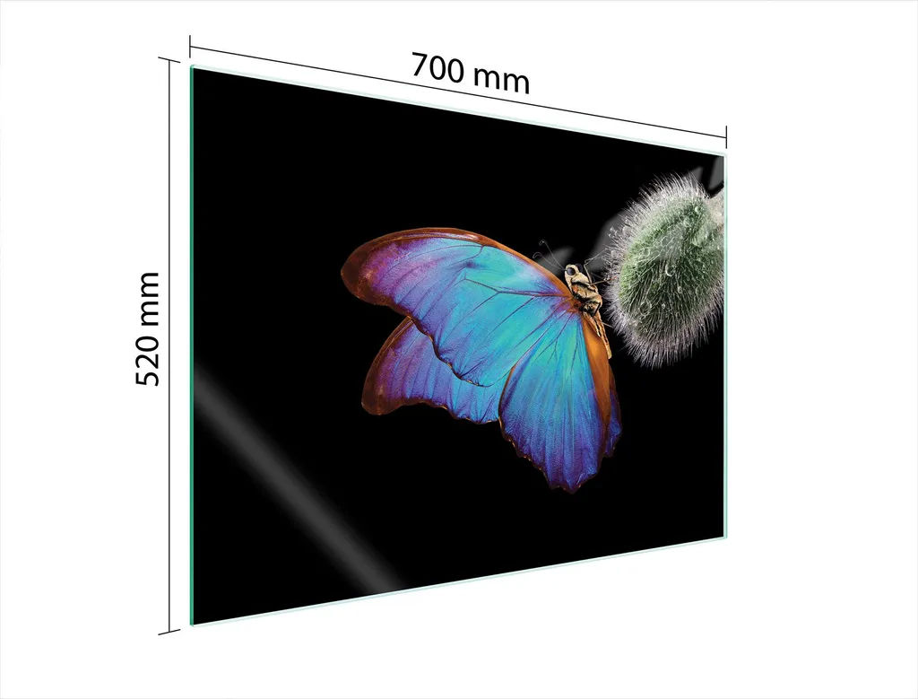 Piastra Vetro 70x52 Butterfly per Piano Induzione e Protezione Muro