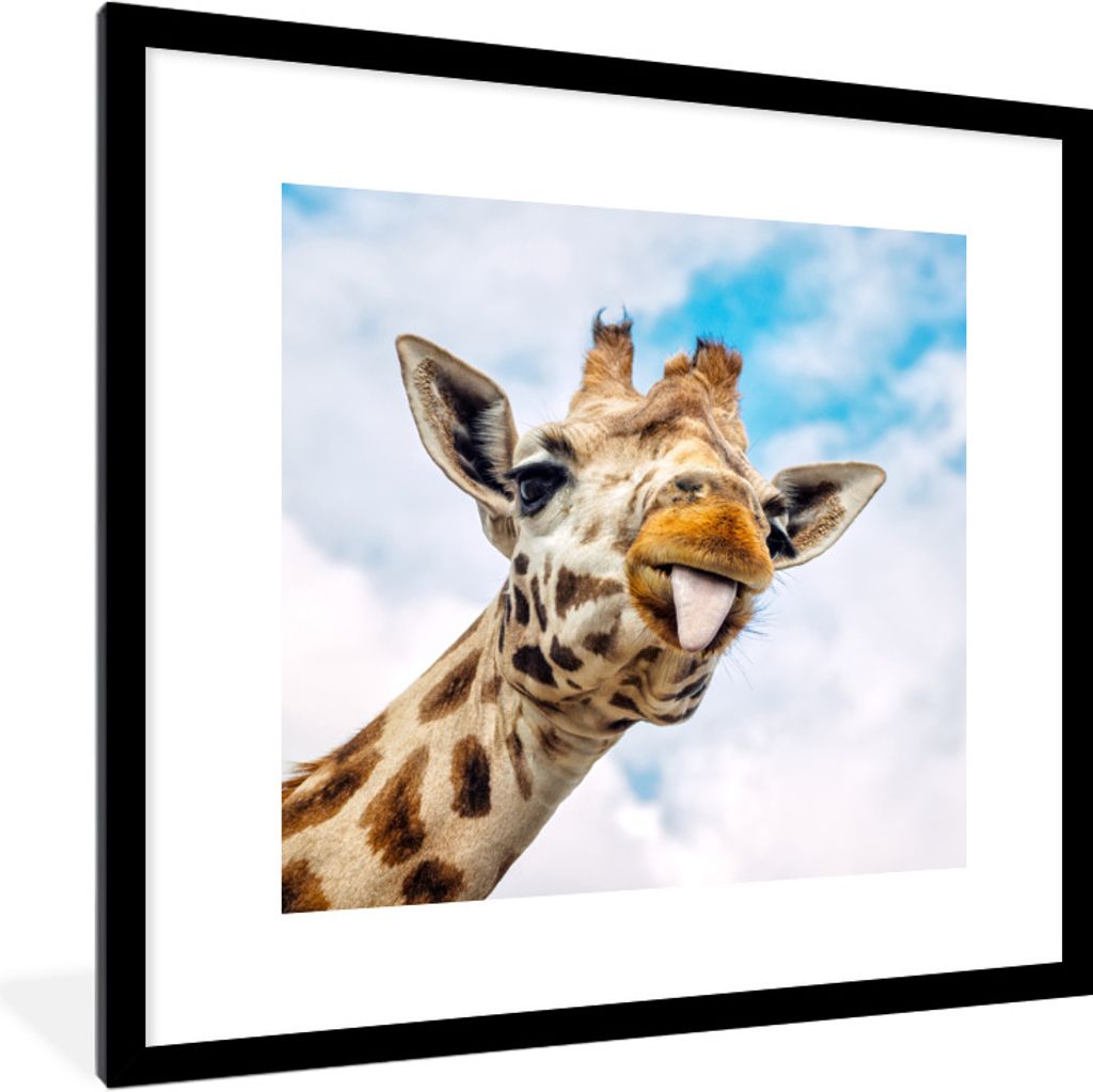 MuchoWow Gerahmtes Poster Giraffe - Lustig - Zunge - Kinder - Jungen - Mädchen - Kind 40x40 cm - Poster mit Schwarzem Bilderrahmen Wandposter Ra...