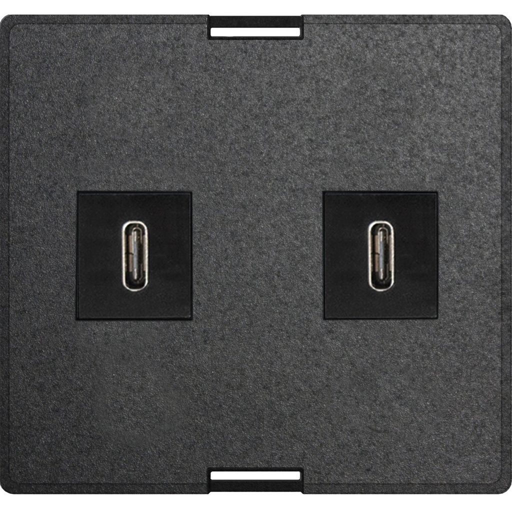 EVOline Wechselmodul  USB Charger 2 x USB Typ C schwarz Produktbild 
