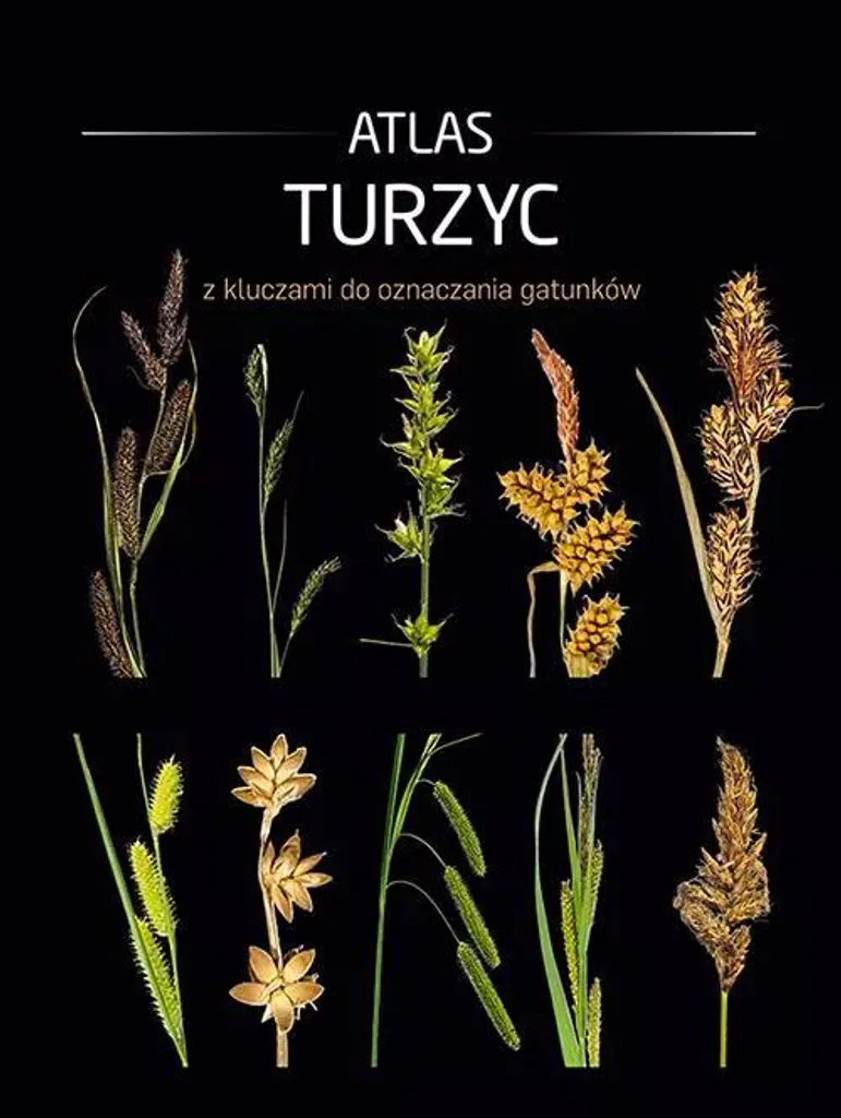 Atlas des laîches avec clés de détermination des espèces de Carex