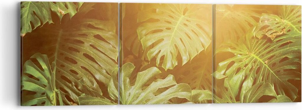 Bild auf Leinwand - Leinwandbild - 3 Teile - Blätter Monstera Licht - 90x30cm - Wand Bild - Wanddeko - Wandbilder - Leinwanddruck - Bilder - Wandd...