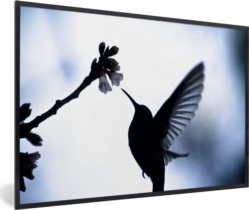 MuchoWow MuchoWow Gerahmtes Poster Vogel - Kolibri - Scherenschnitt 60x40 cm - Poster mit zchwarzem Bilderrahmen - Printing - Wanddeko Schlafzi...