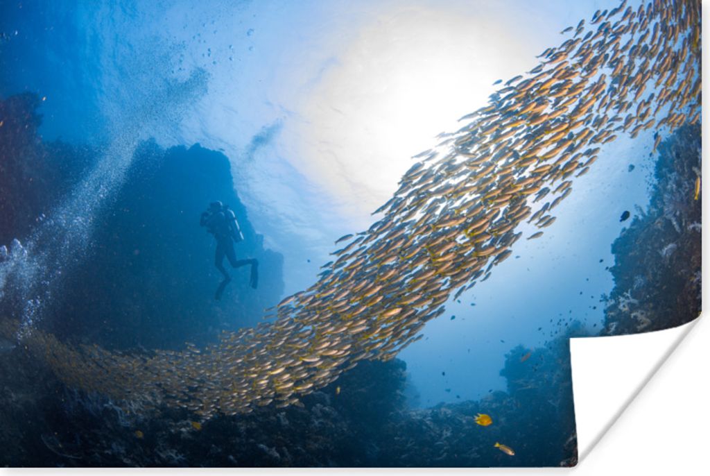 MuchoWow Poster Schwimmen - Tauchen - Fische 90x60 cm - Schlafzimmer
