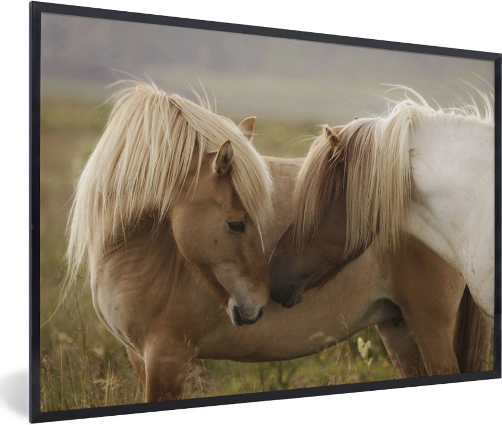 MuchoWow Gerahmtes Poster Pferde - Gras - Braun 30x20 cm - Poster mit Schwarzem Bilderrahmen Wandposter Rahmen Foto Bilder - Kunstdruck - Bild-Po...