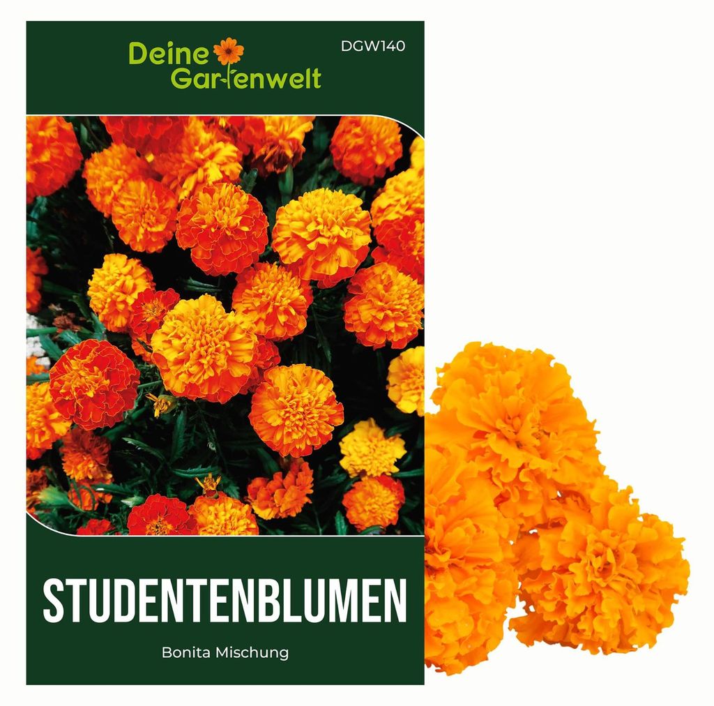 Studentenblumen Bonita Mischung Samen - Tagetes patula - Produktbild 