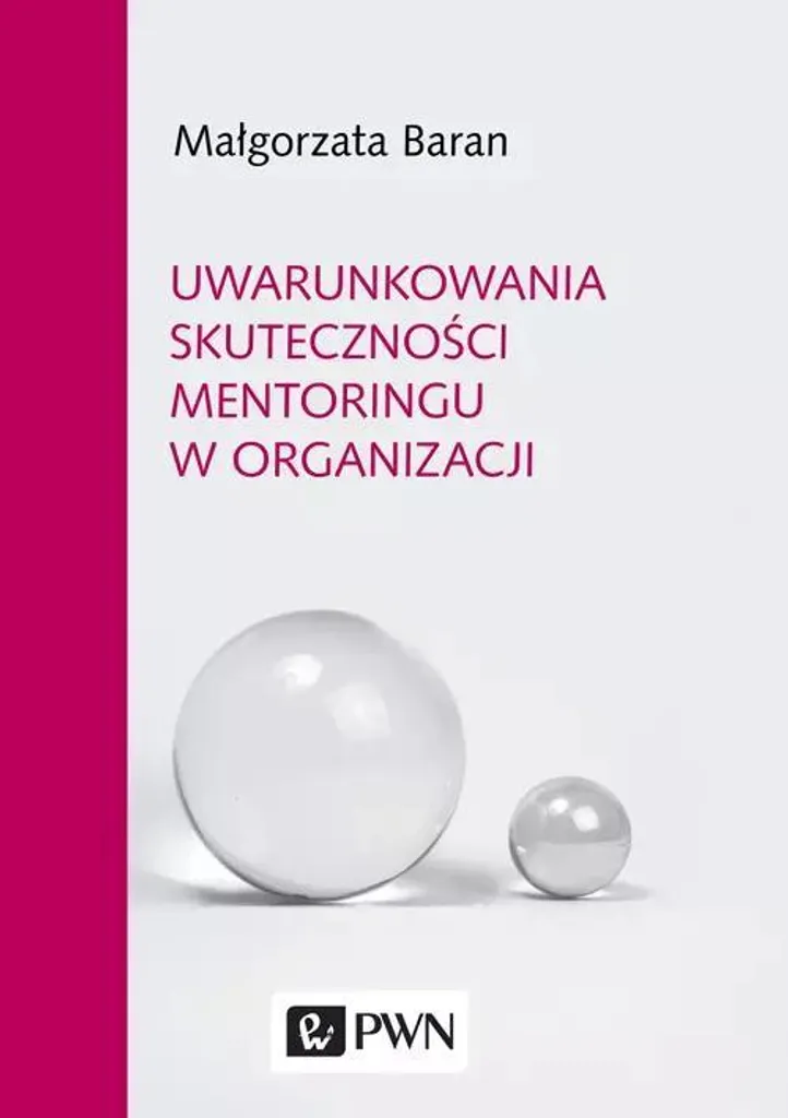 Efficacité du Mentoring en Organisation : Analyse et Méthodologie