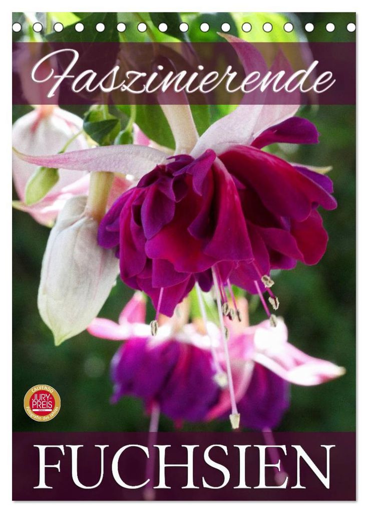 Faszinierende Fuchsien (Tischkalender 2027 DIN A5 hoch), CALVENDO Monatskalender