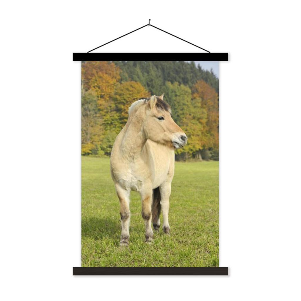 MuchoWow Textilposter Fjordpferd in einer Herbstlandschaft 120x180 cm mit schwarzem Rahmen - Fotos