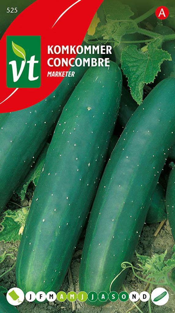 Semená uhorky Marketer - cca 1 gr | VT_525 Obrázok produktu 