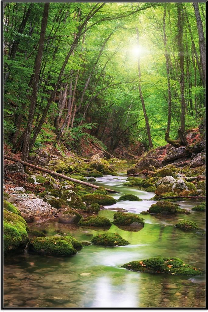 Wallario Wandbild Fluss im Wald, Größe: 61 x 91,50 cm, Poster mit schwarzem Aluminiumrahmen