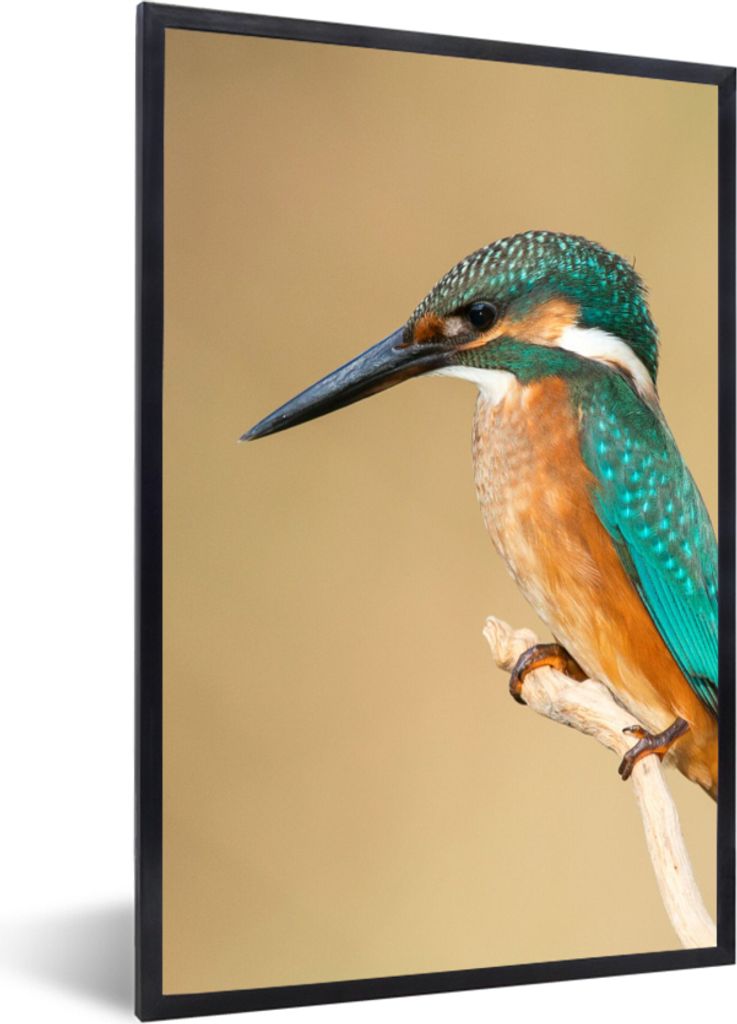 MuchoWow Gerahmtes Poster Eisvogel - Tiere - Vogel 20x30 cm - Poster mit Schwarzem Bilderrahmen Wandposter Rahmen Foto Bilder - Drucken - Bilder ...