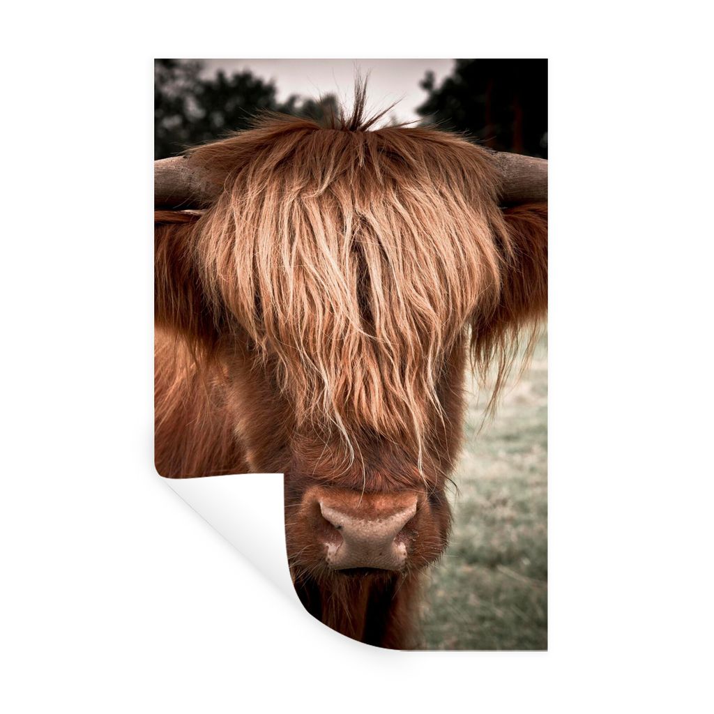 MuchoWow Wandtattoo Wandsticker Wandaufkleber Schottischer Highlander - Baum - Gras 60x90 cm Selbstklebend und Repositionierbar - Sticker - Dekor...