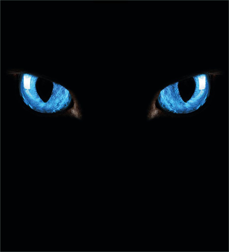 Wallario Möbelfolie / Aufkleber, geeignet für Ikea Malm Kommode mit 4 Schubfächern - Blaue Katzenaugen bei Nacht