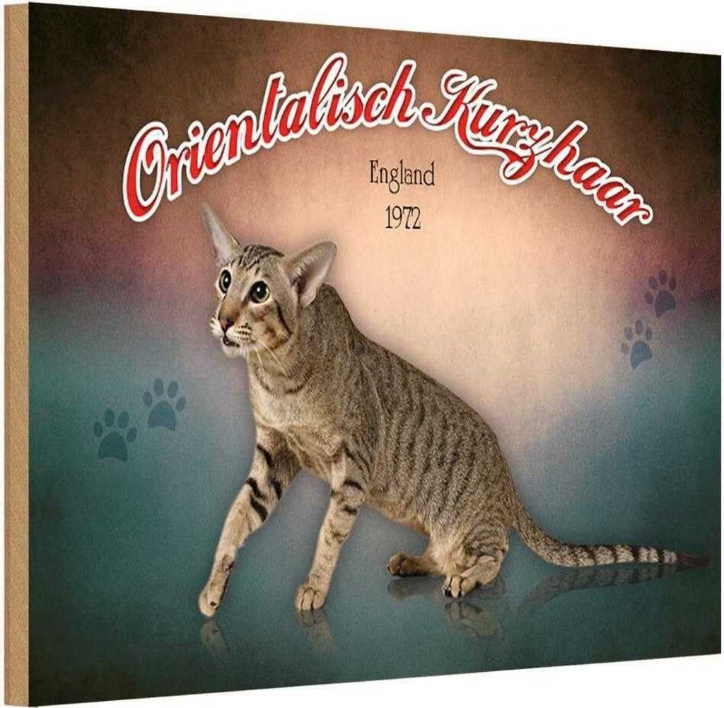 vianmo Holzschild 12x18 cm Katze Orientalisch Kurzhaar England Tier Haustier