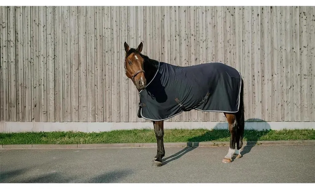 Fini le cheval mouillé avec le Tapis de Séchage Equitheme Drycool Bleu