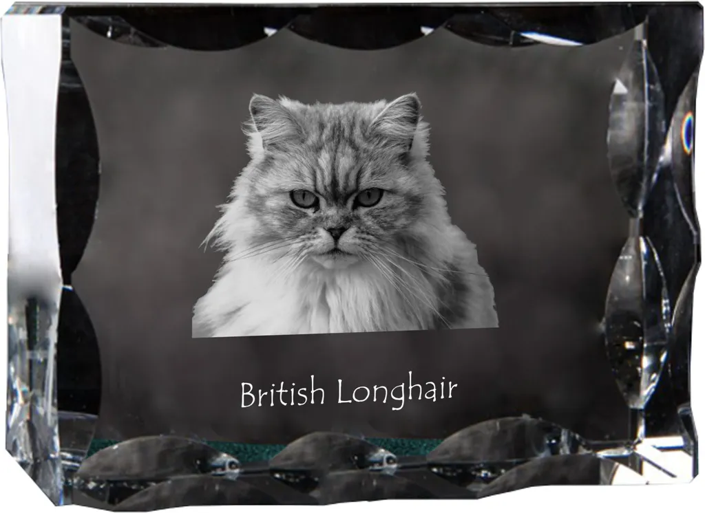 Cadre photo en cristal British Longhair - Objet de décoration verre