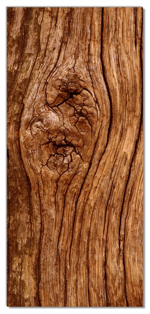 Wallario selbstklebende Türtapete 93 x 205 cm - Holzstamm mit Asteinschluss - Abwischbar, rückstandsfrei zu entfernen