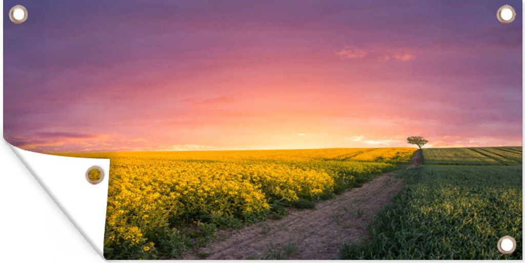 MuchoWow 80x40 cm Outdoor-Poster Gartendeko Sichtschutz Garten Poster für den Garten Blumen - Straße - Himmel - Gelb - Lila - Sonnenuntergang -...