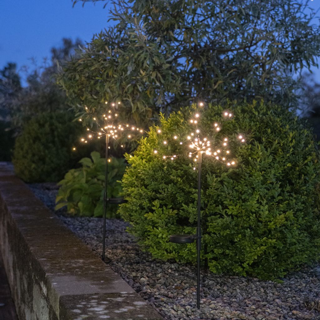 Zestaw 2 dekoracji ogrodowych Led solarnych FIREWORK® Zdjęcie produktu 