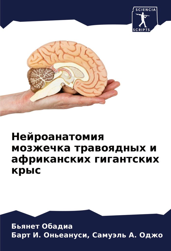 Nejroanatomiq mozzhechka trawoqdnyh i afrikanskih gigantskih krys