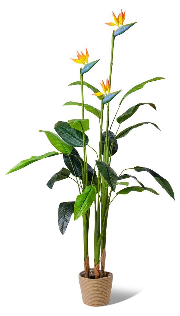 Bird of Paradise - Plante artificielle en pot H160 cm Image du produit 