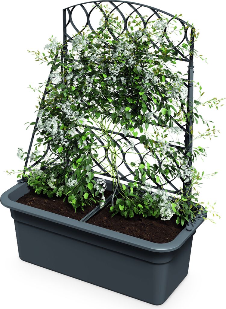 3.10 Jardinière avec pergola BLOMA en anthracite- env. 59 x Image du produit 
