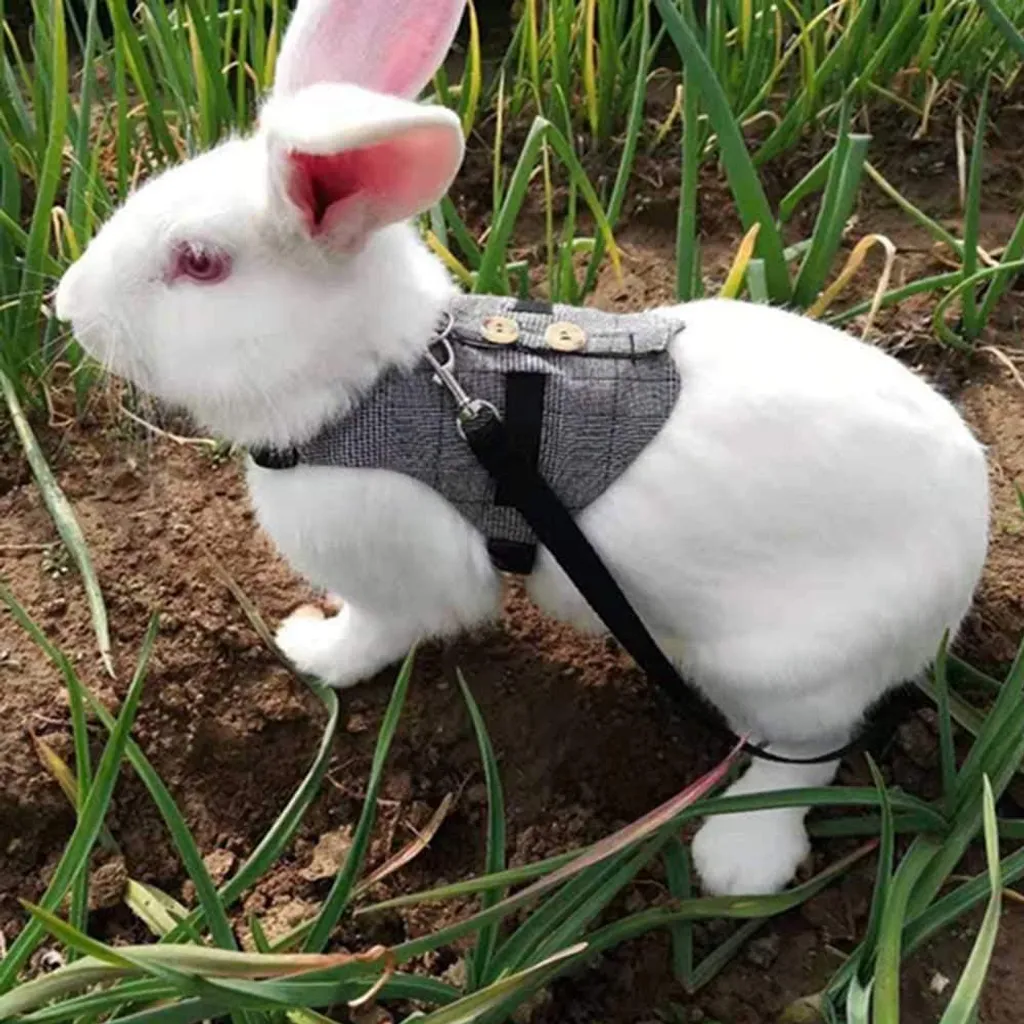 Harnais Gilet Lapin Gris M à Rayures Quadrillées et Lin Ajustable