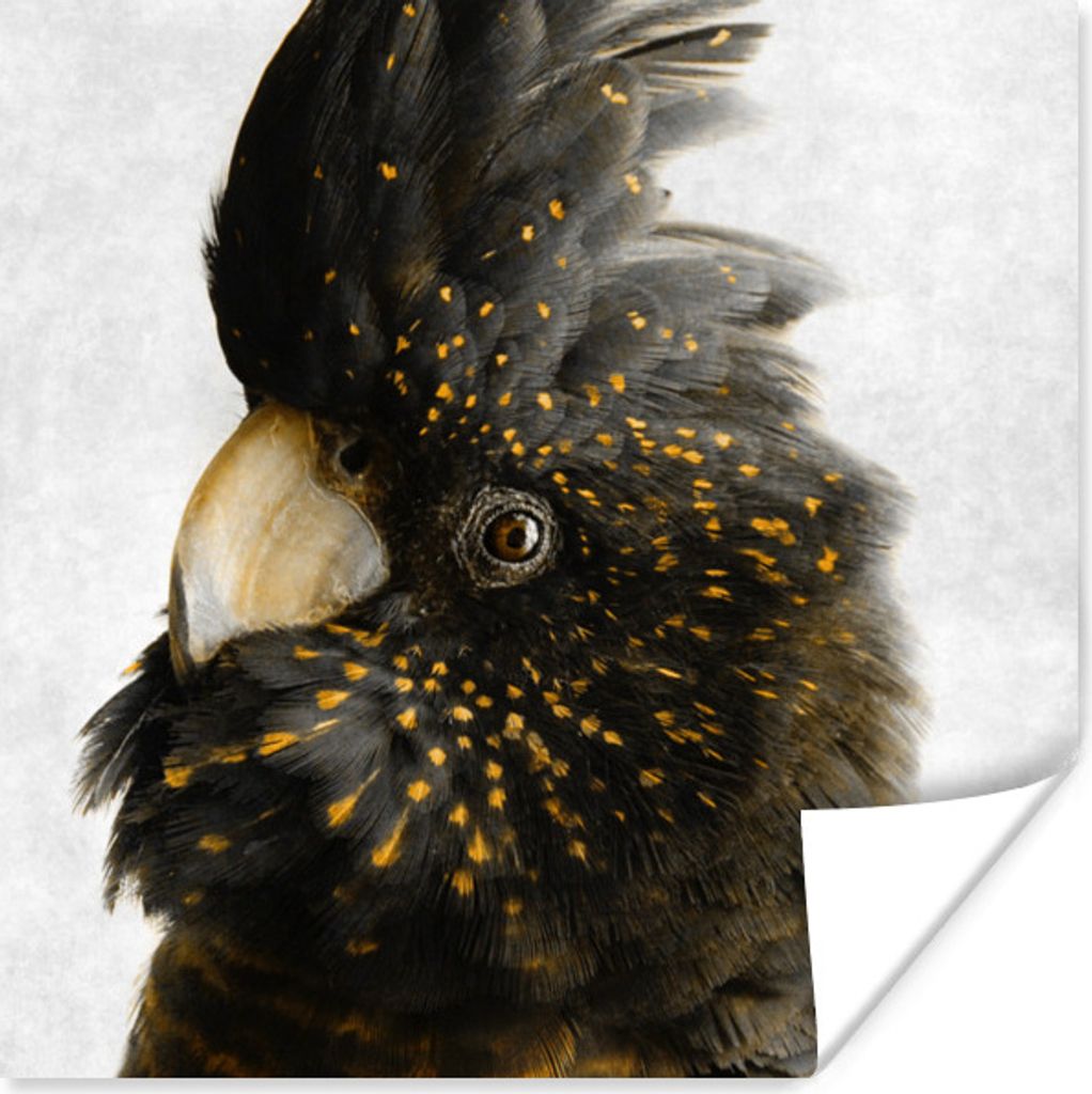 MuchoWow Poster Kakadu - Schwarz - Gold - Beton 30x30 cm - Wandposter - Printing