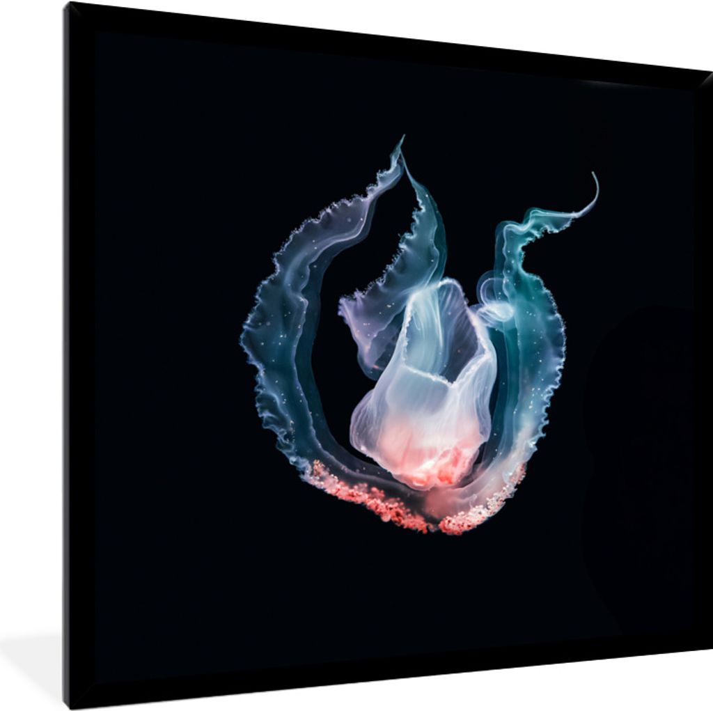 MuchoWow MuchoWow Gerahmtes Poster Qualle - Blau - Rosa 40x40 cm - Poster mit zchwarzem Bilderrahmen - Mit Rahmen - Wanddekoration Schlafzimmer
