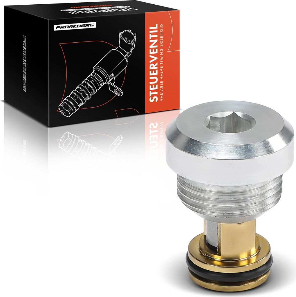 Frankberg 1x Rückschlagventil für VW Passat Audi A4 8D2 A6 4B2 Skoda Superb I