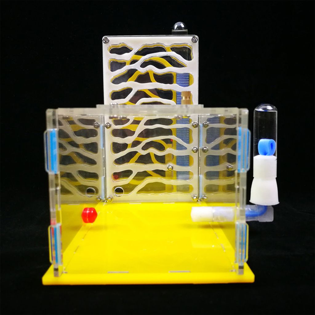 DIY T-Design Feeding Area Acrylic Farm Insect Villa Mania House Ant Nest Birthday Present Gift