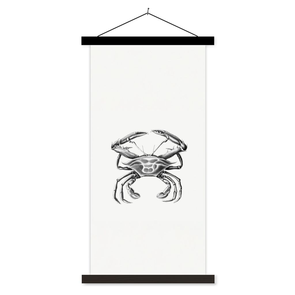 MuchoWow Textilposter Ernst Haeckel - Jahrgang - Kunst - Krabbe 60x120 cm mit schwarzem Rahmen - Magnete