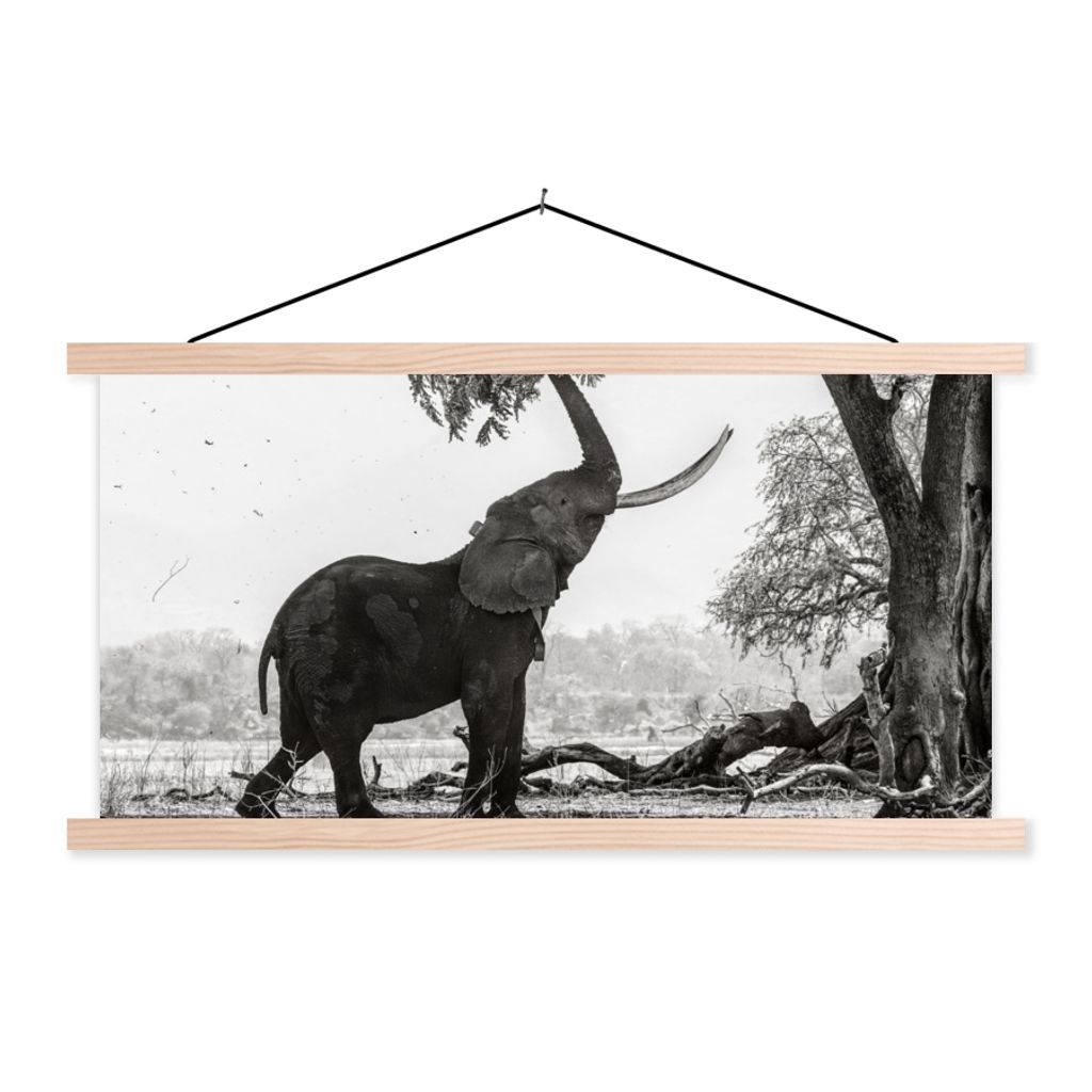 MuchoWow® Textilposter Elefant - Baum - Tiere - Schwarz und Produktbild 