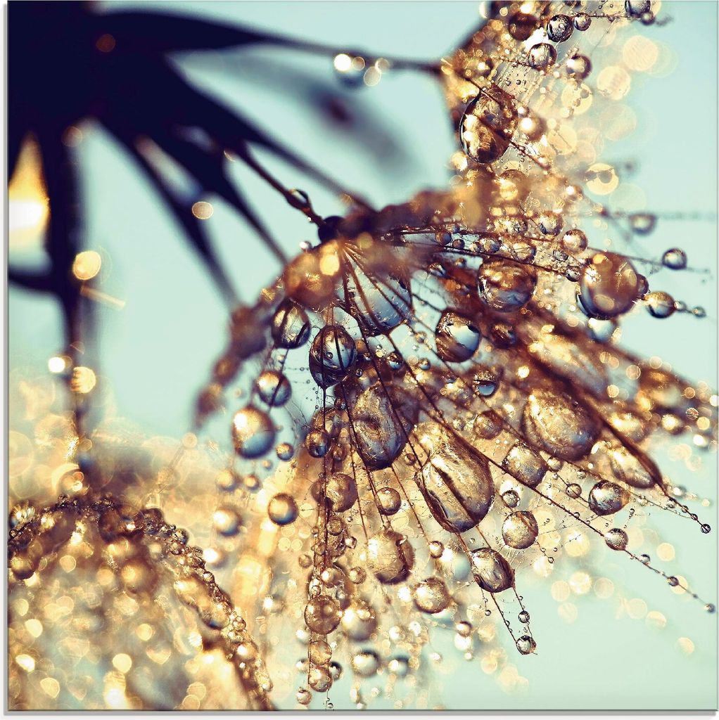 ARTland Glasbild Pusteblume Goldener Regen Größe: 30x30 cm