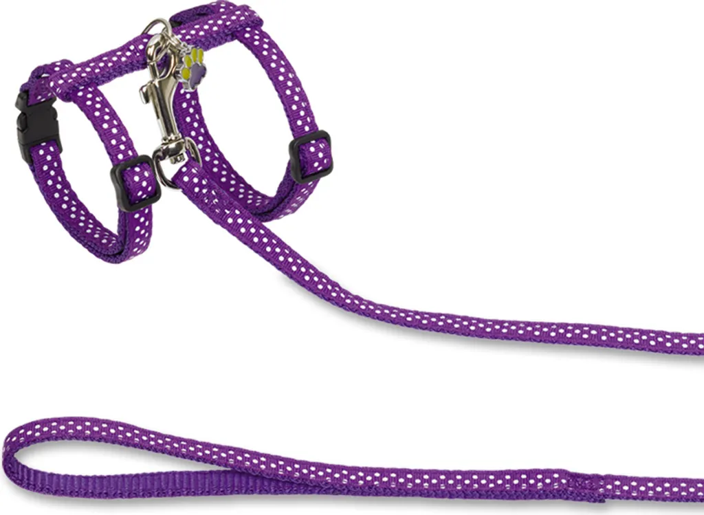 Set di gatti "DOTS" viola