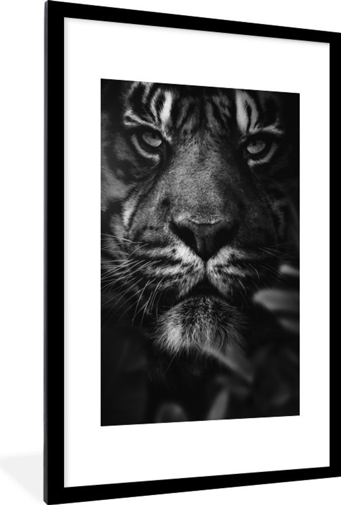 MuchoWow Gerahmtes Poster Nahaufnahme eines Tigers im Dschungel - schwarz und weiß 60x90 cm - Poster mit Schwarzem Bilderrahmen Wandposter Rahme...