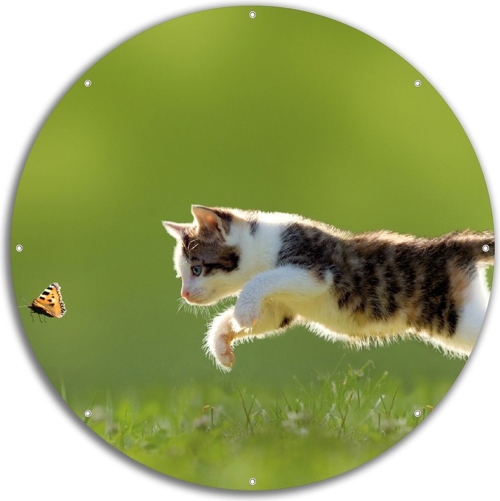 Wallario rundes Outdoor-Poster für Garten oder Balkon, Motiv Süße Katze fängt Schmetterling im Grünen, 60 cm Durchmesser
