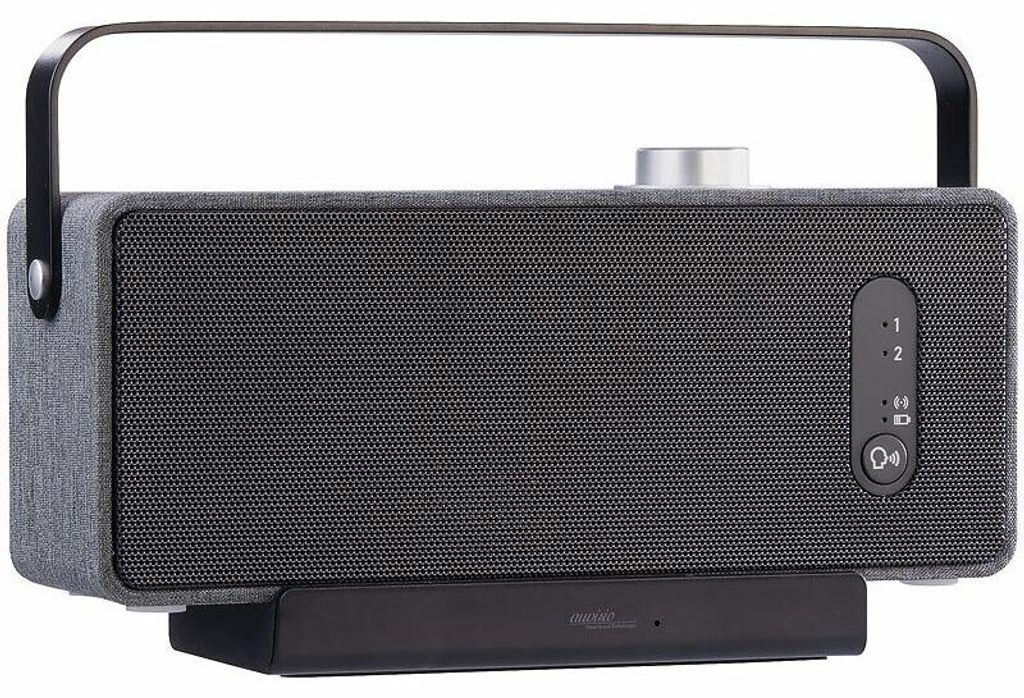 Przenośny głośnik TV ZX-3935, cyfrowa transmisja Zdjęcie produktu 