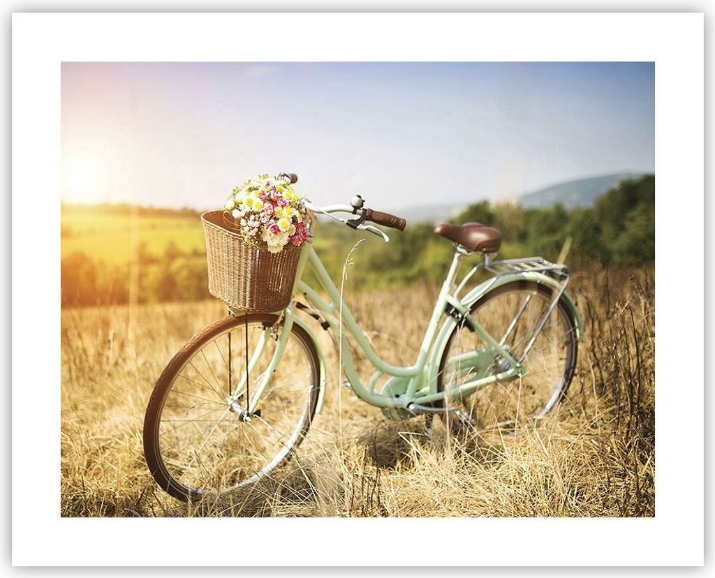 Poster - Poster ohne Rahmen - Fahrrad Wiese Blumen - 50x40 cm - Wand Bild - Wanddeko - Wandbilder - Kunstposter - Wandposter - Bilder - Kunstdruck ...