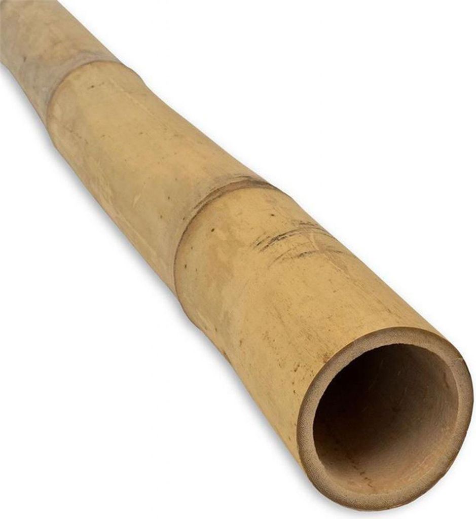 Pflanzstab Bambus 180 cm Ø 12/14 mm Produktbild 