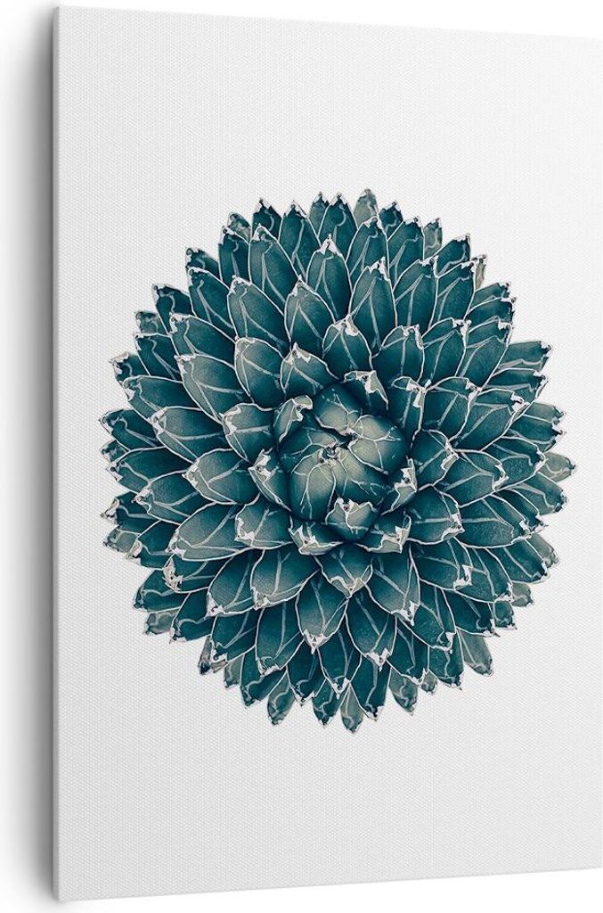 Bild auf Leinwand - Leinwandbild - Einteilig - Agave Königin Victoria - 70x100cm - Wand Bild - Wanddeko - Wandbilder - Leinwanddruck - Wanddekorat...