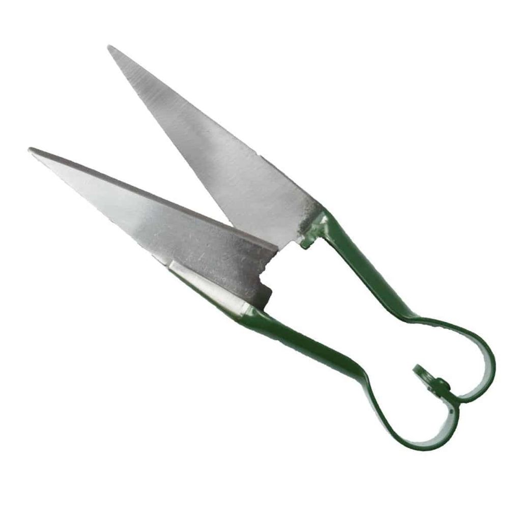 Schere für Kräuter