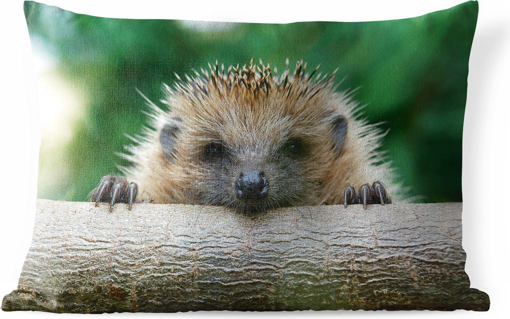 MuchoWow Outdoor Kissen - Igel beißt Holz - 50x30 cm - Wetterfest - Lounge Kissen - Sofa kissen - Wohnzimmer Dekoration
